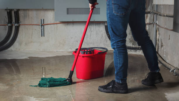 Best Water damage restoration near me  in Fort Worth, TX