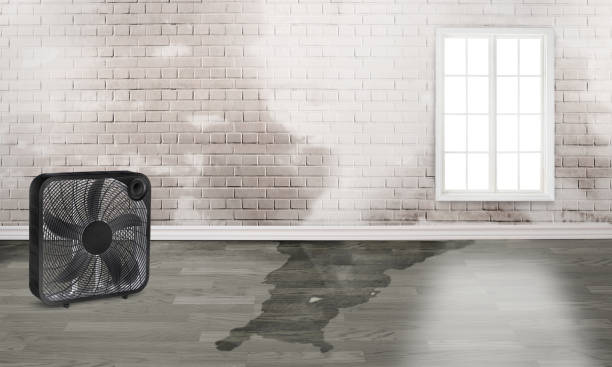 Best Emergency water damage restoration  in Fort Worth, TX